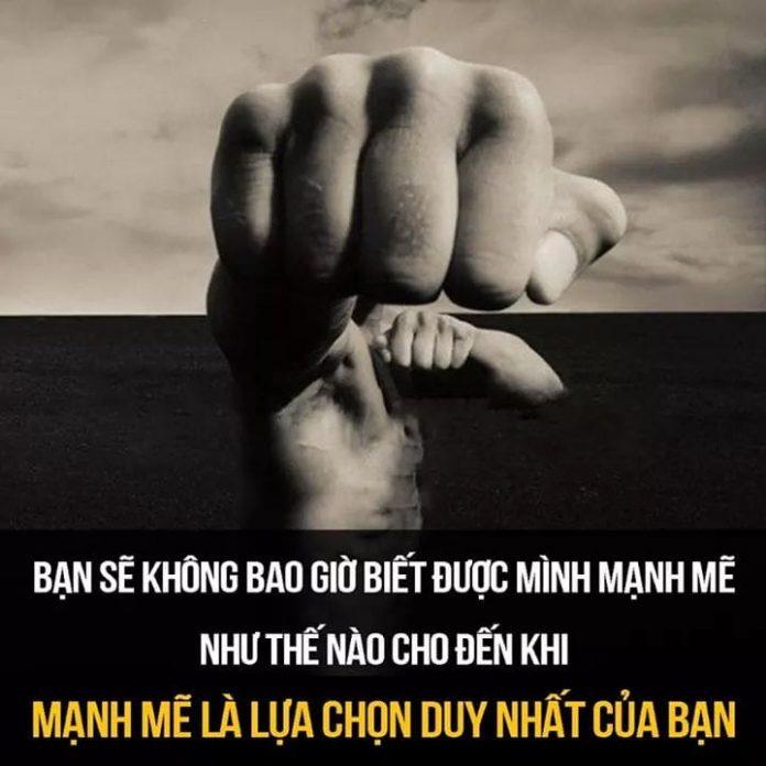 Tránh giao kết với nhưng người có biểu hiện IQ thấp